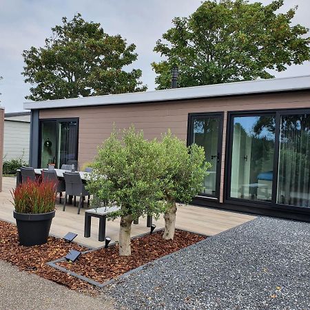 Beachhouse Renesse 2645 Екстериор снимка